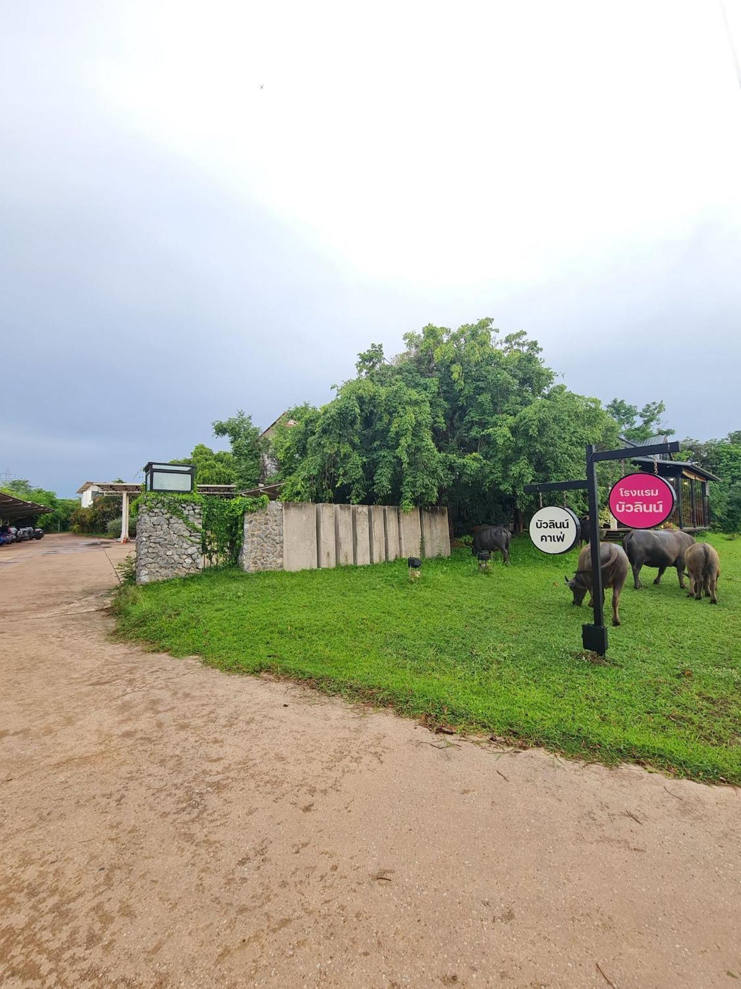 Bualinn Resort Nong Khai Zewnętrze zdjęcie